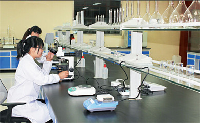 英科醫療再獲麥克森大獎，引領醫療器械互聯網信息服務新篇章