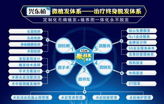 探索深圳植發補發技術 高清圖片揭示效果，北京科發源的投資管理視角