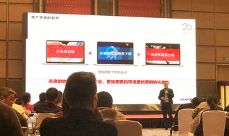 同策房產咨詢股份的信息技術咨詢服務